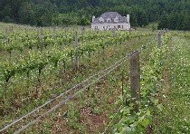 Click for Larger Picture!